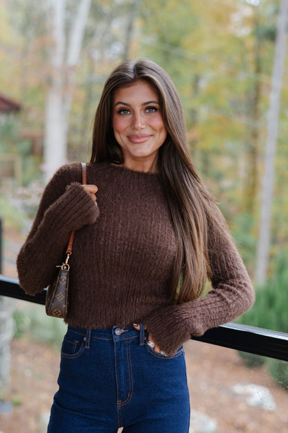 Fuzzy Cropped Sweater-Brown